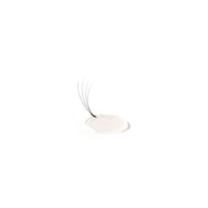 Lash Fan Dots