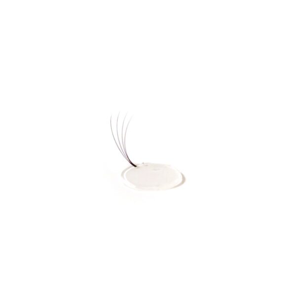 Lash Fan Dots